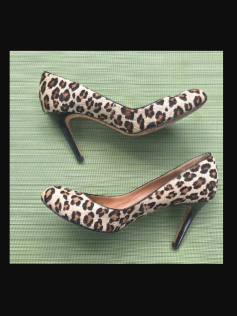 Ann Taylor Leopard Print Pumps - Leather and Calf Hair